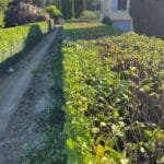 aménagement extérieur Aix-en-Provence jardin