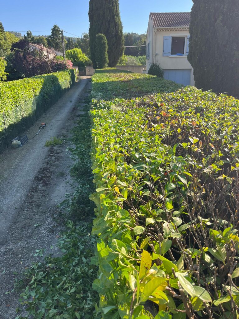 Aménagement de jardin avec pose de dalles en pierre et massifs végétalisés