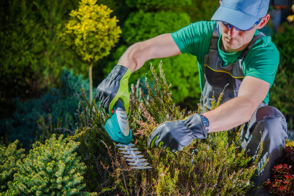 Landscaper Using Shrub Trimmer