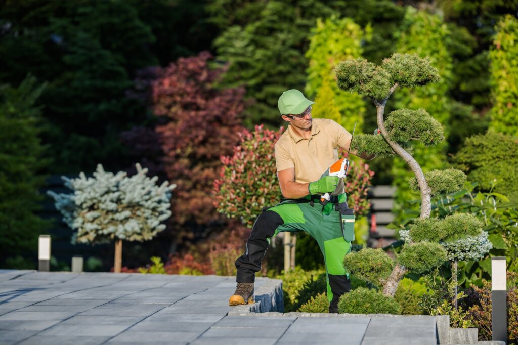 Landscaper Working with Mini Hedge Trimmer