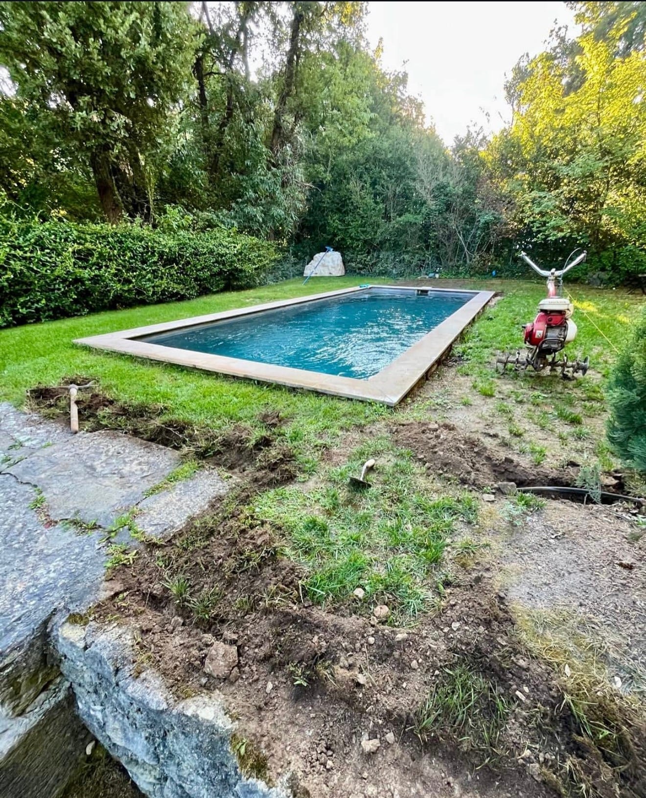 Piscine rectangulaire installée dans un jardin verdoyant avec pelouse, arbres en arrière‑plan et matériel de paysager posé à côté.